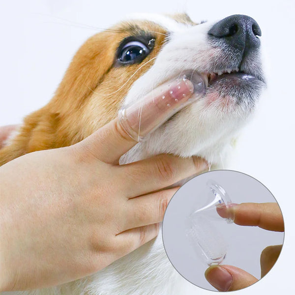 Super Soft Finger Toothbrush for Pets