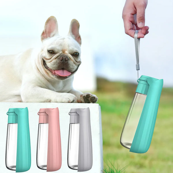 Portable Dog Water Bottle for Outdoor Adventures