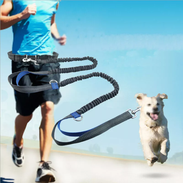 Reflective Hands-Free Dog Running Leash