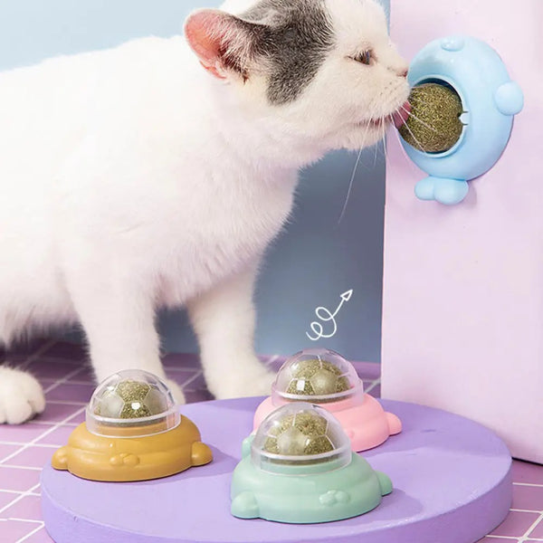 Catnip Balls - Fun Snack & Toy